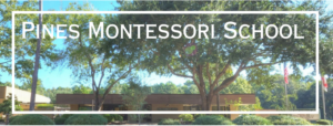Pines Montessori logo